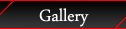 VIP Gallery